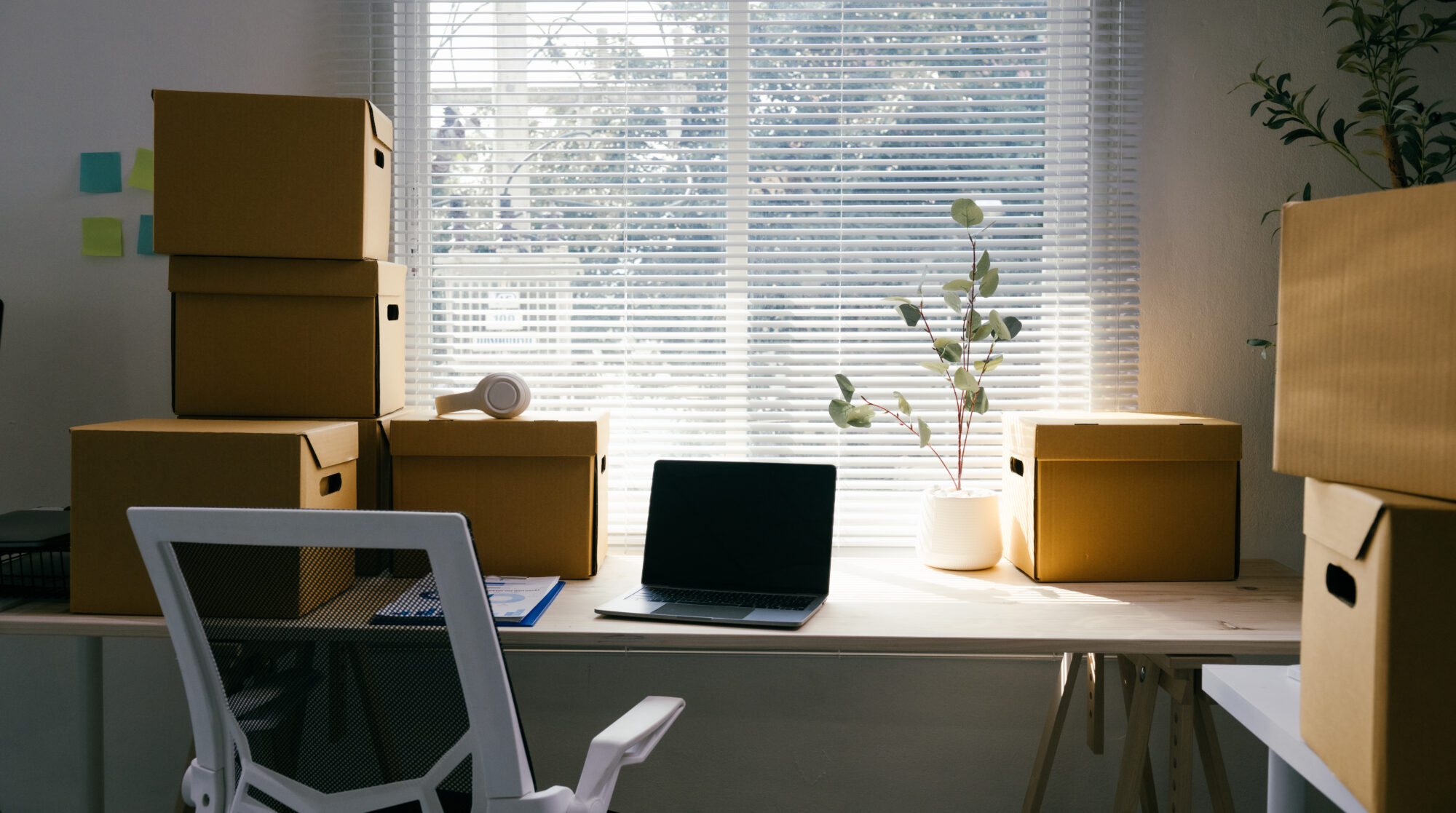 5 Financial Essentials When Leaving Your Job featured image