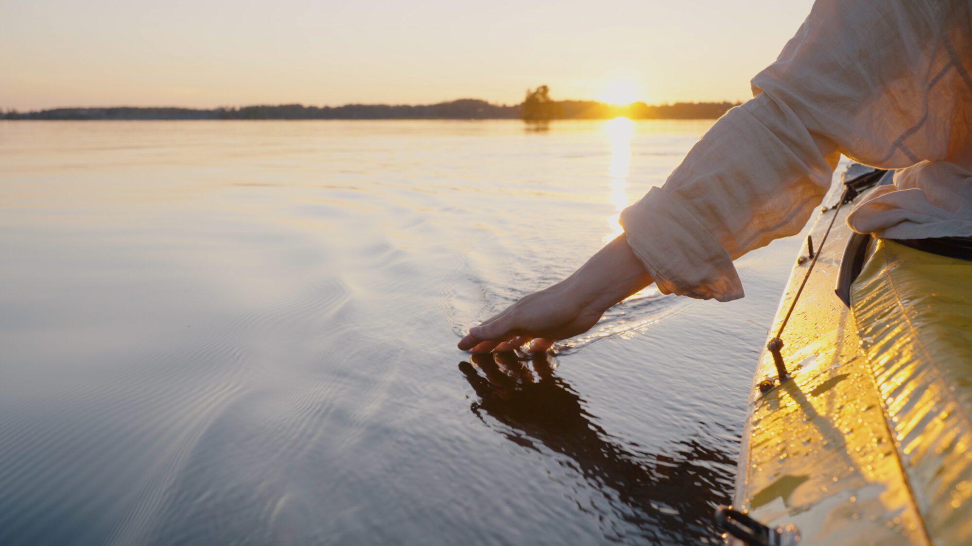 Private Placement Life Insurance featured image