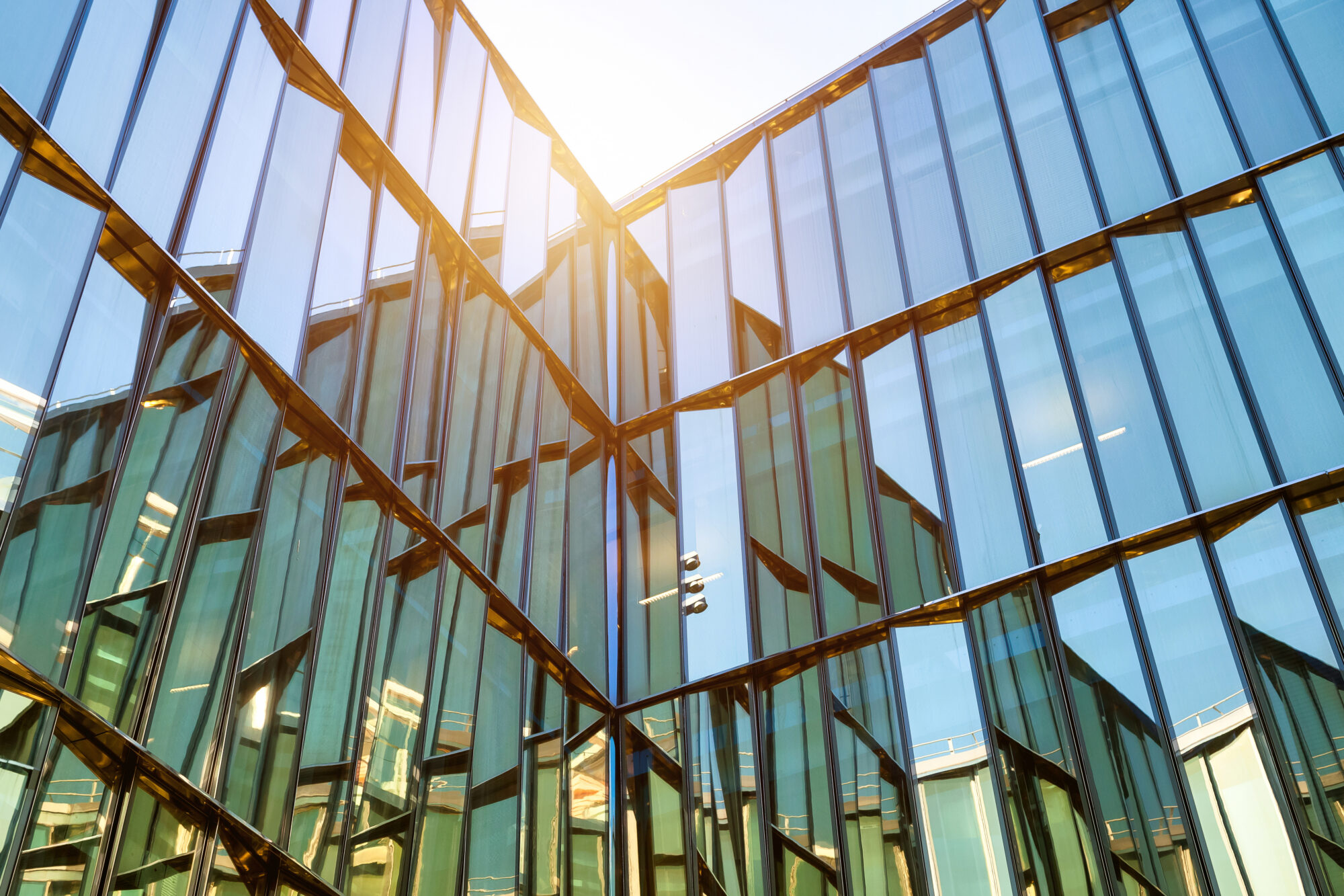 Startups Should Not Wait to Hire CFOs featured image