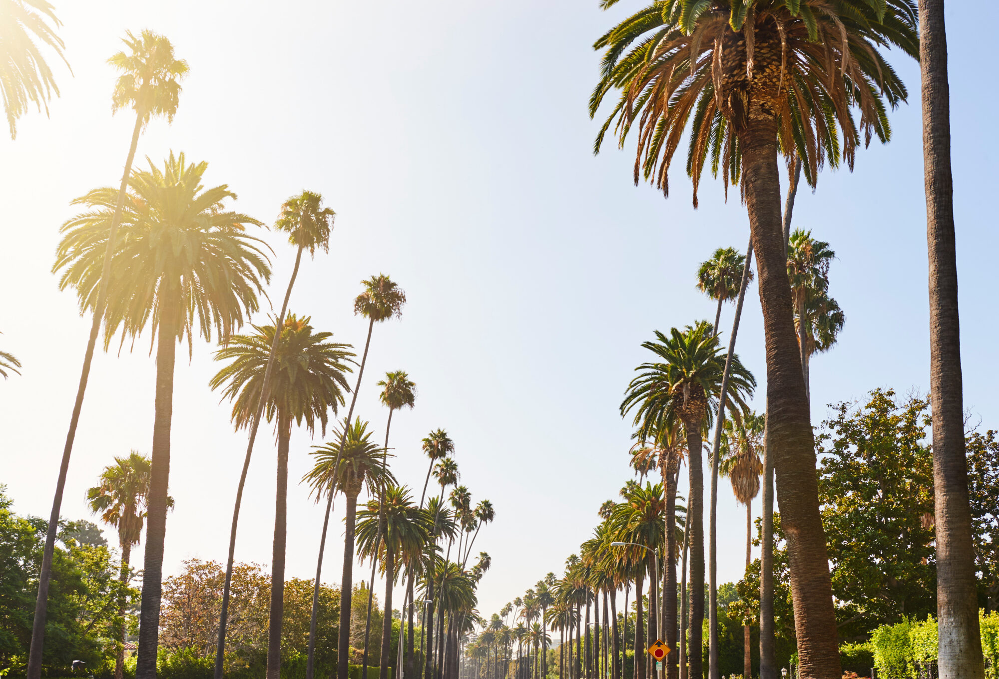 Frequently Asked Questions About California’s 2026 Billionaire Tax featured image