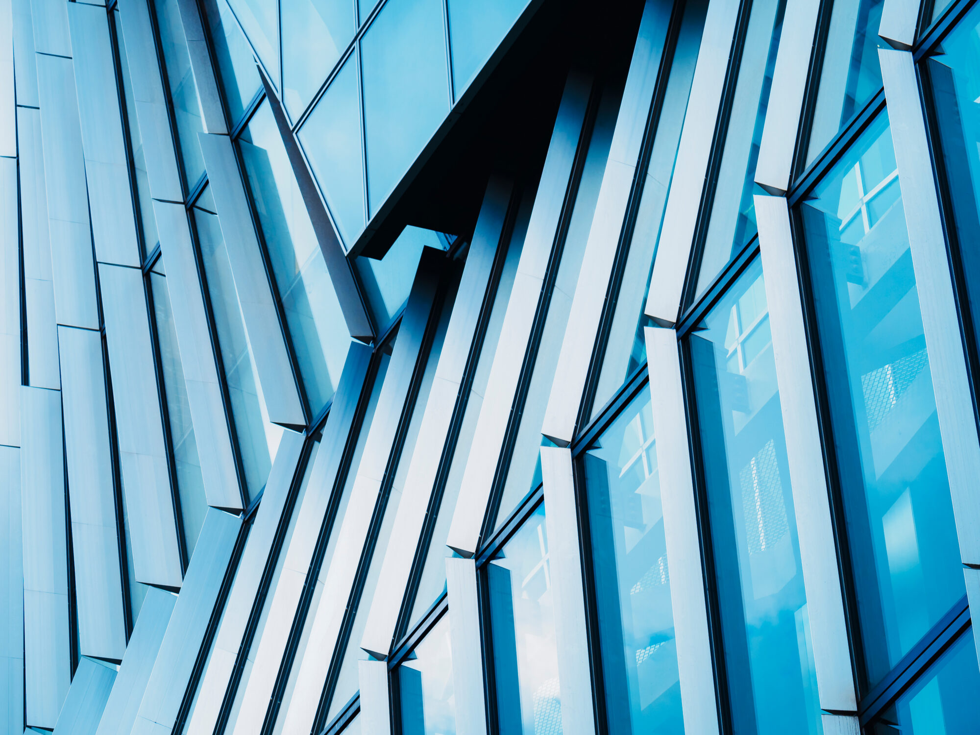 The Active Management Environment featured image